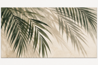 Palm Gölgeleri Duvar Tablosu