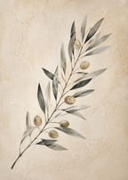 Zeytin Dalı Poster ve MDF ürün görseli